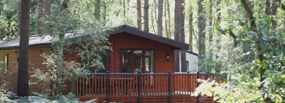 Lodge in the pine woods