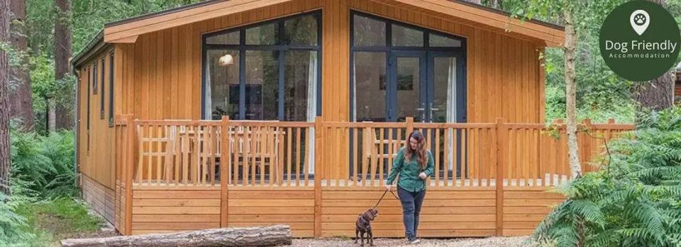 Dog-friendly lodge