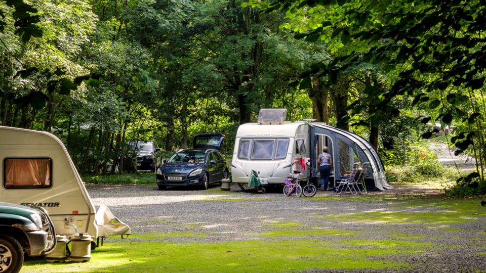 Caravans on the gravel under trees