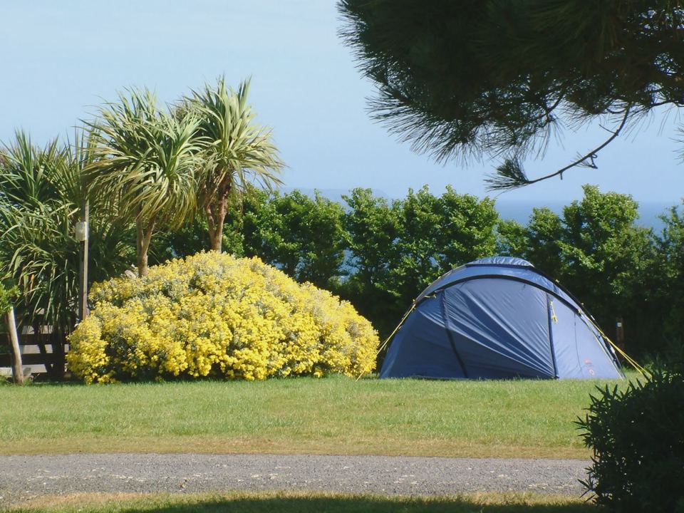 Tent on a lawned pitch