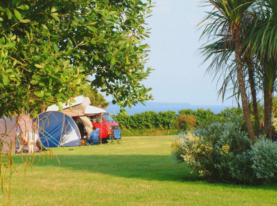 Tents under the palms