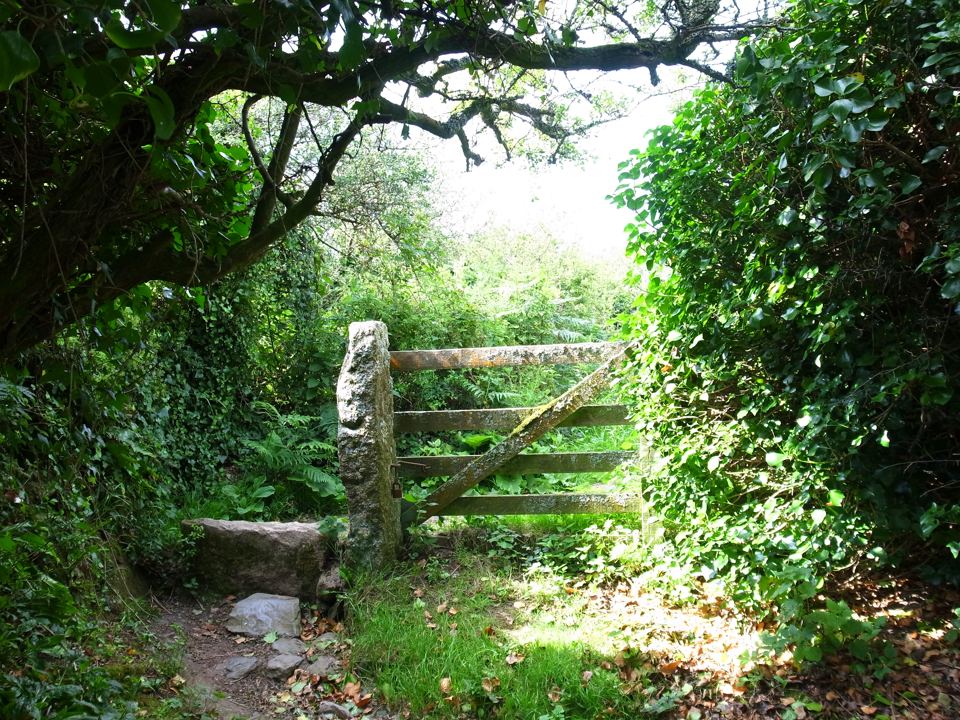 Gate on the path to the coast