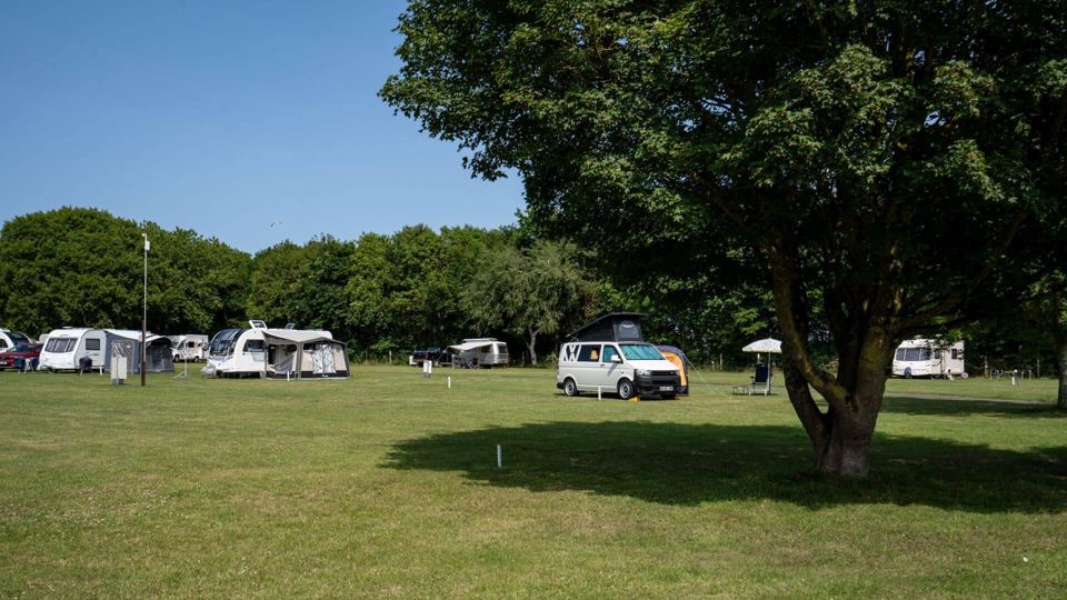 Open grass pitches