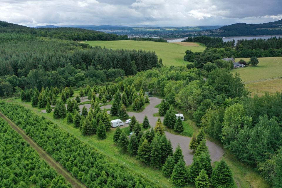 Park from above among the fir trees