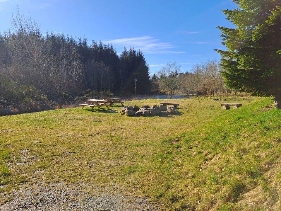 Fire pit area with picnic tables