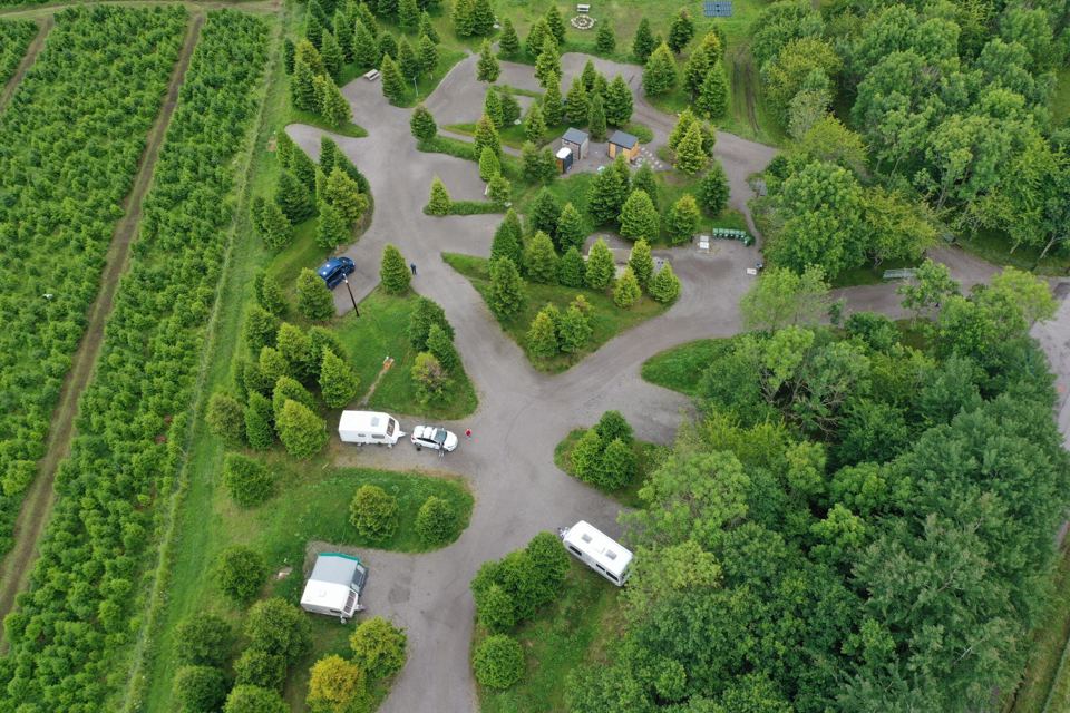 Pitches in the trees from above