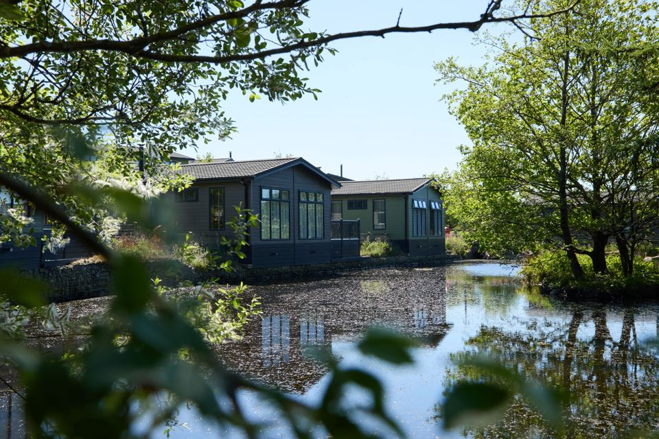 Lodges reflected in the pond