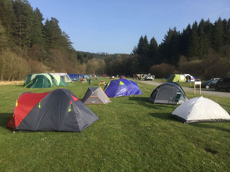 Tents on the grass field
