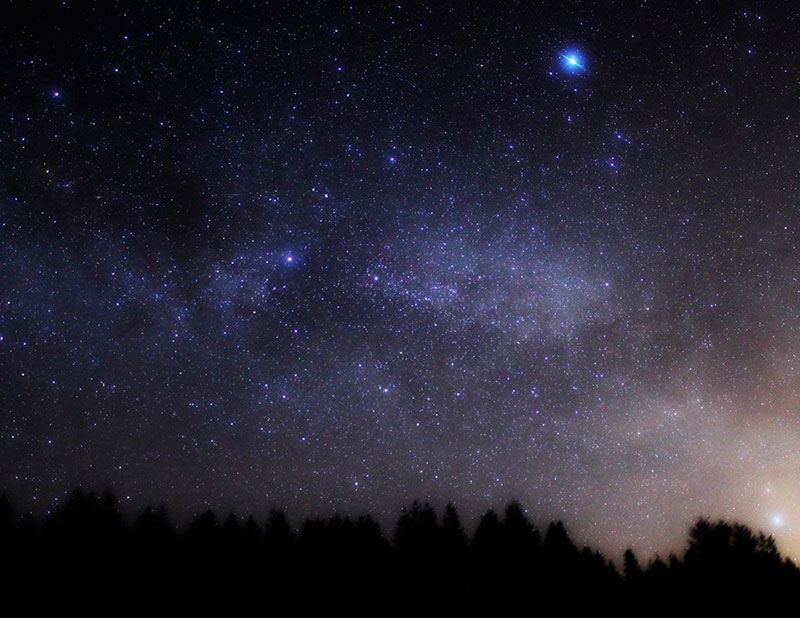 Milky Way over the forest