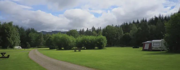 Pitch area and forest