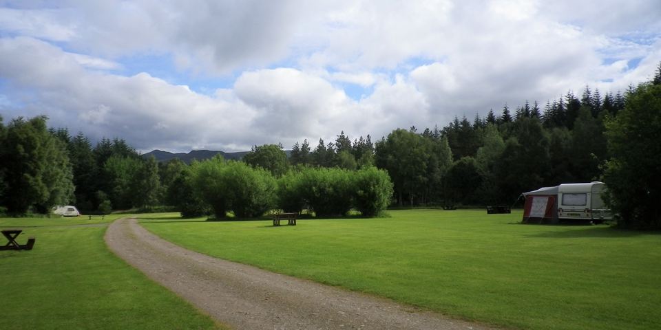 Grass and track through the site