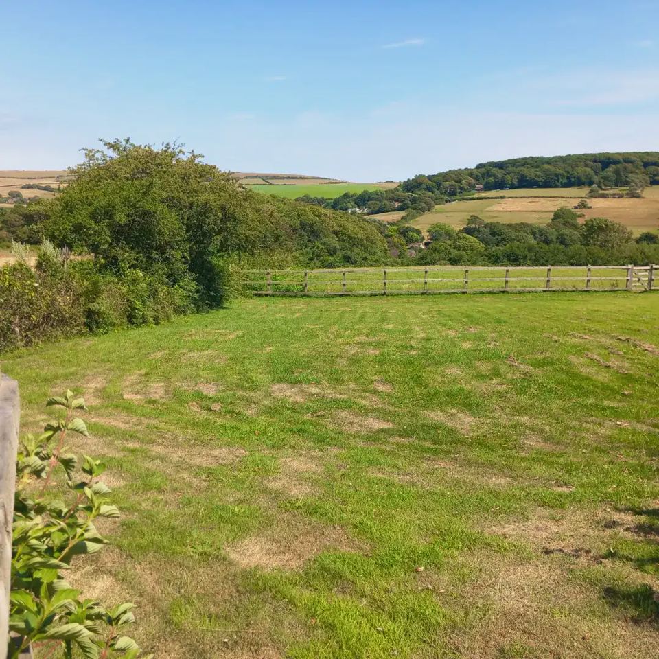 Paddock with valley view