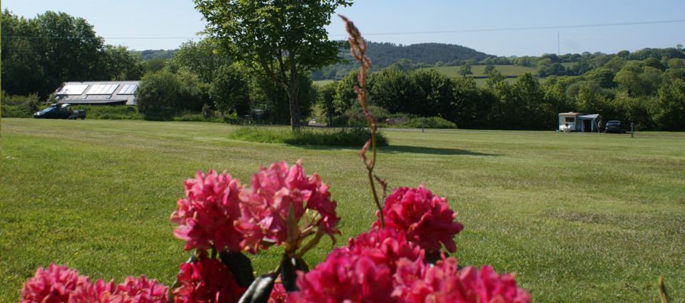 Open grass field