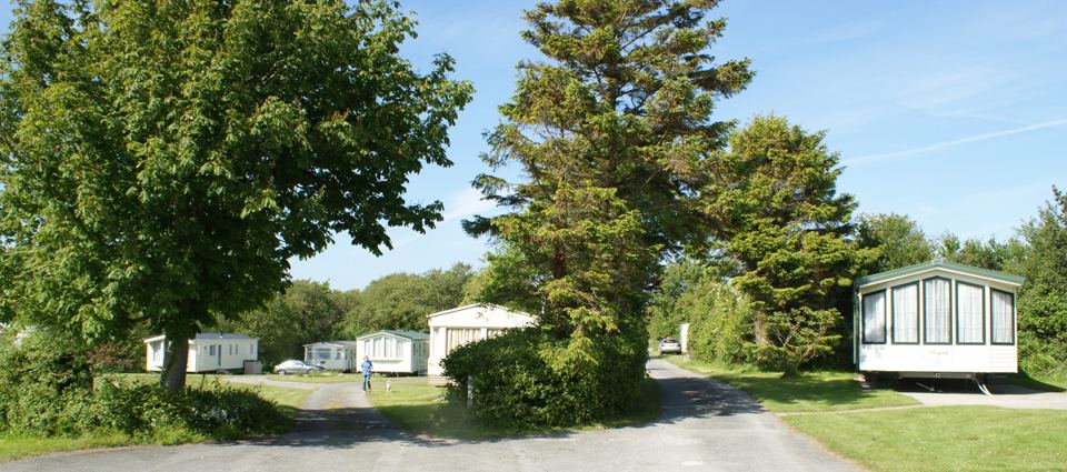 Static caravans among trees