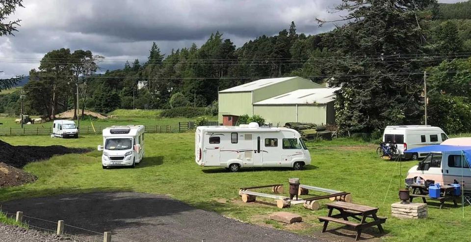 Motorhomes on the grass pitches