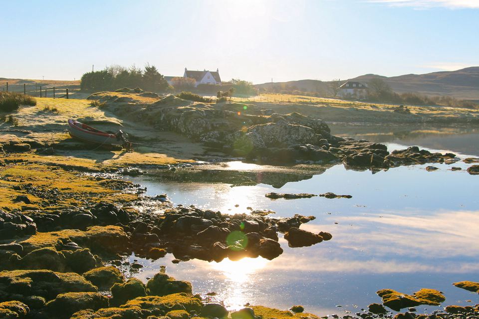 Rocky shore at low tide