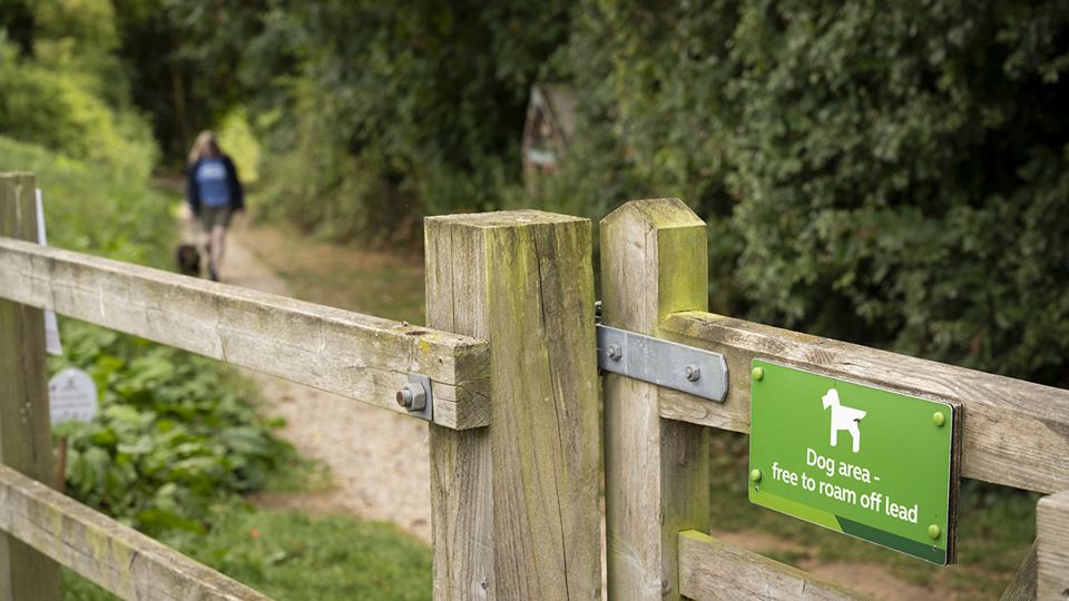 Dog area, free to roam off lead