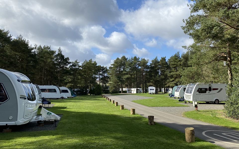 Caravans on hardstanding by the pines