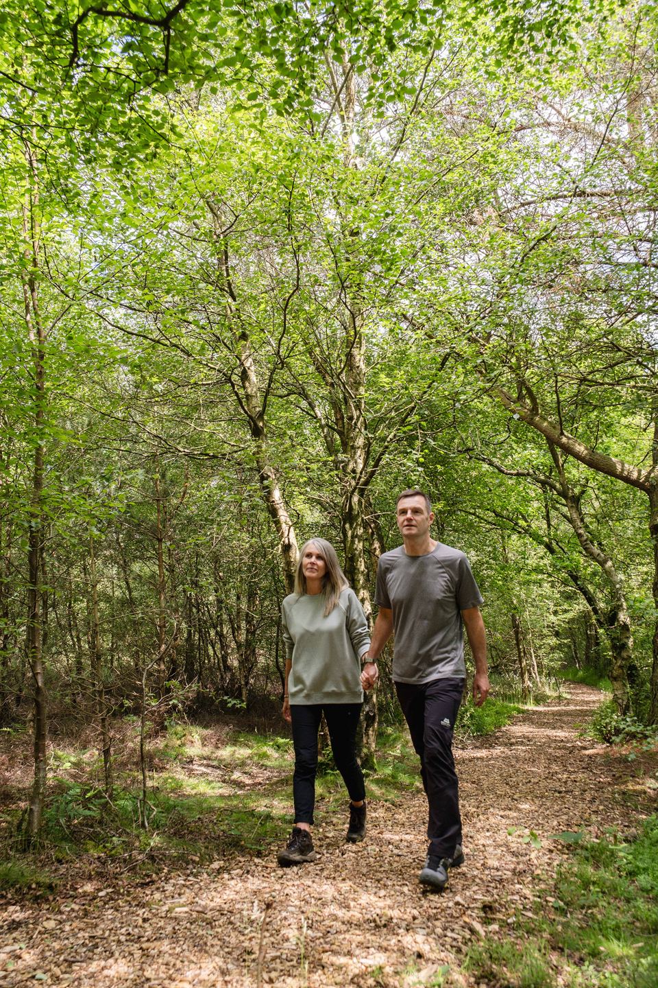 Woodland trail
