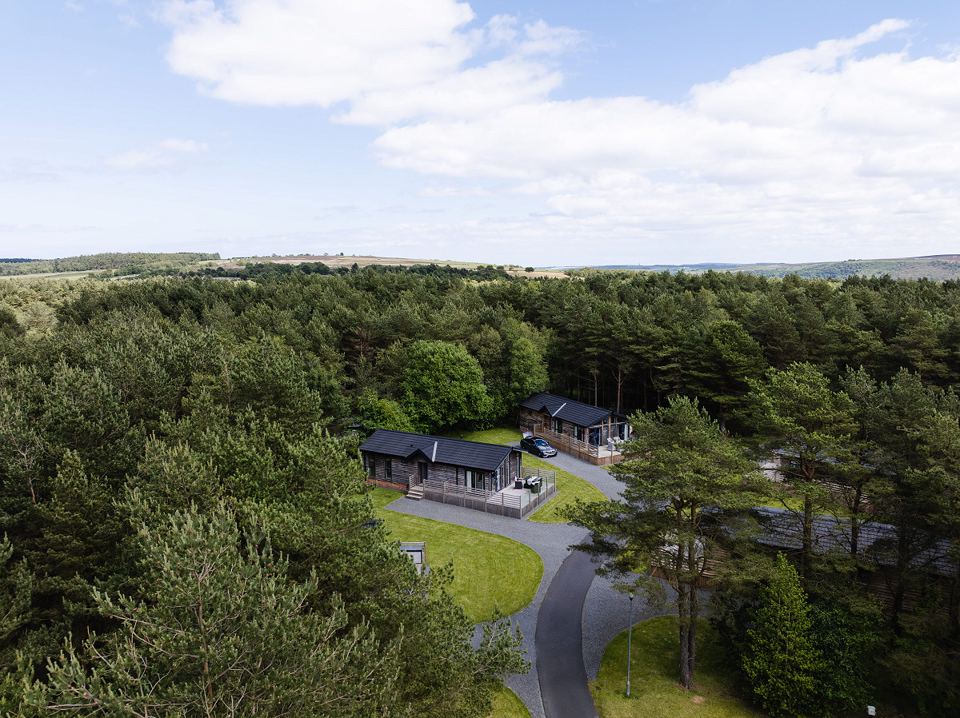 Lodges among the trees