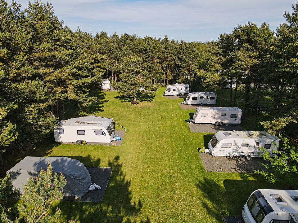 Pitches in the pines from above