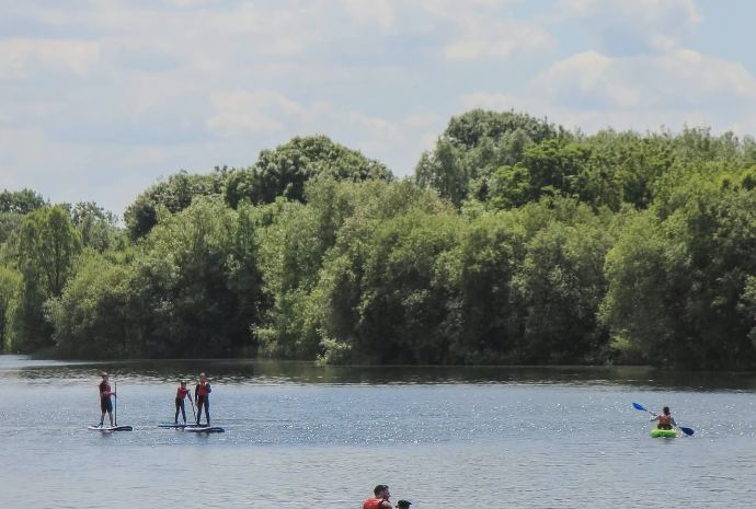 Paddleboarders on the Thames
