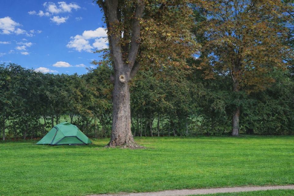 Tent pitch under the trees