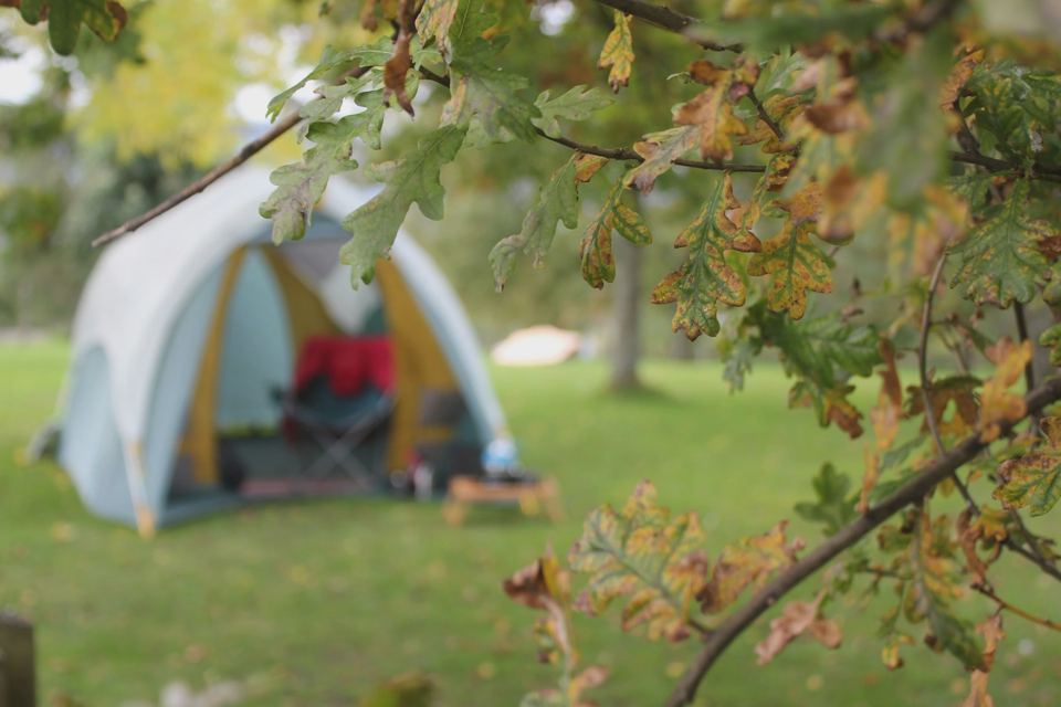 Tent on the grass
