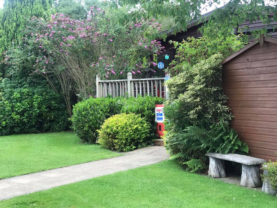 Planted garden by the buildings