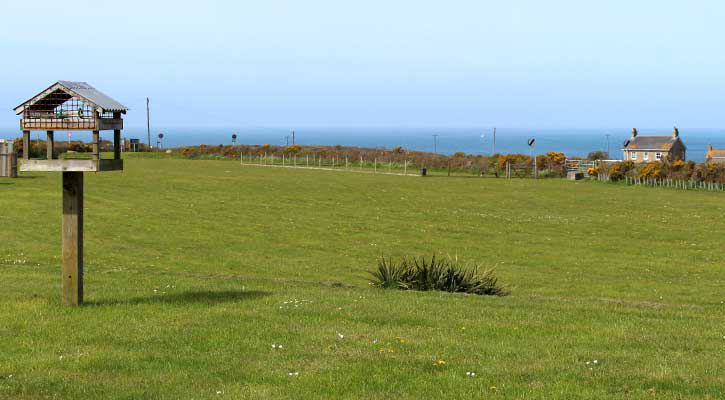 Grassy field with sea beyond