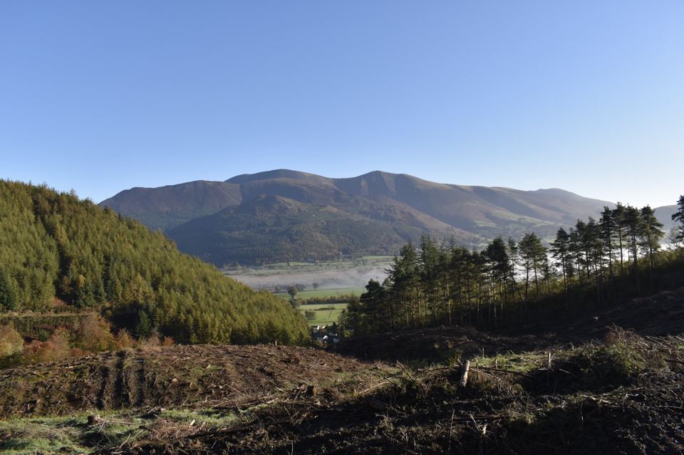 Mountain and forestry view
