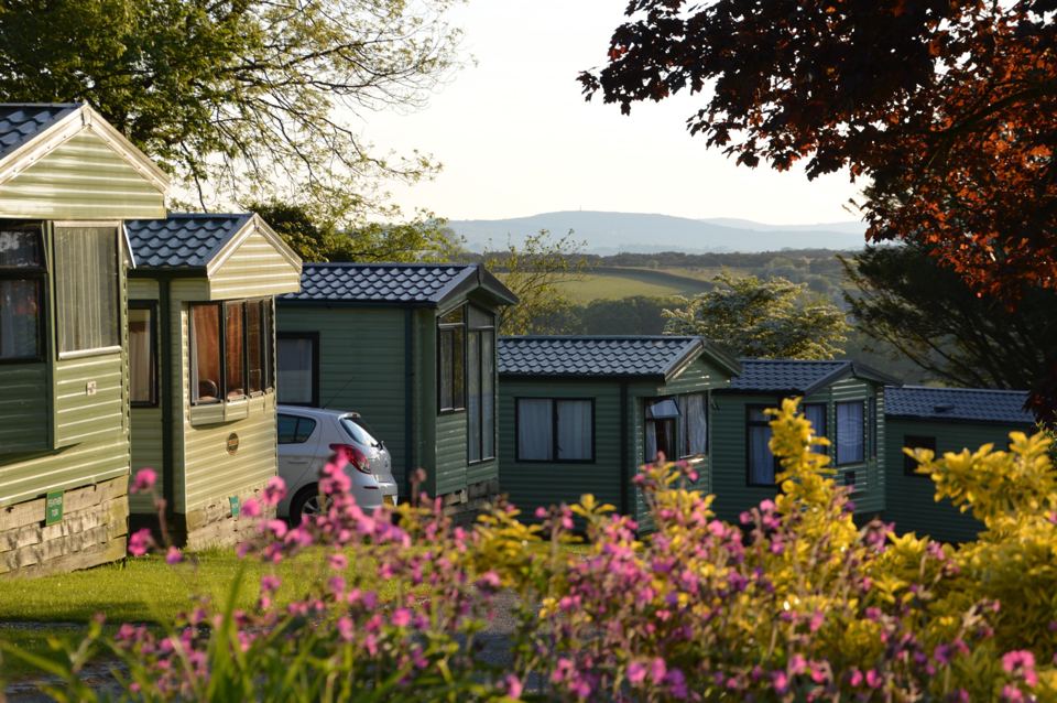 Static caravans behind hedge