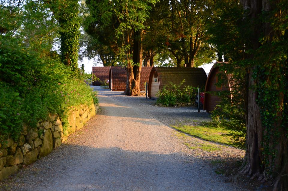Pods along a shaded lane