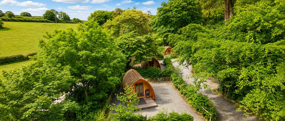Pods among trees from above