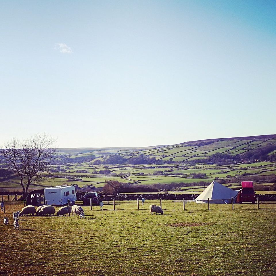 Camping field above the Esk Valley