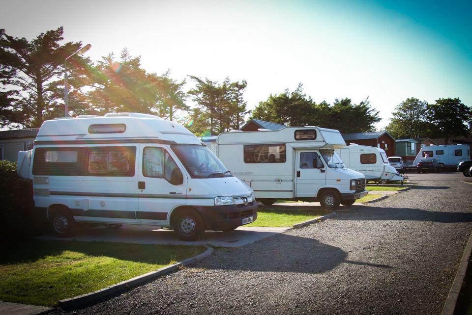 Touring pitches under the trees