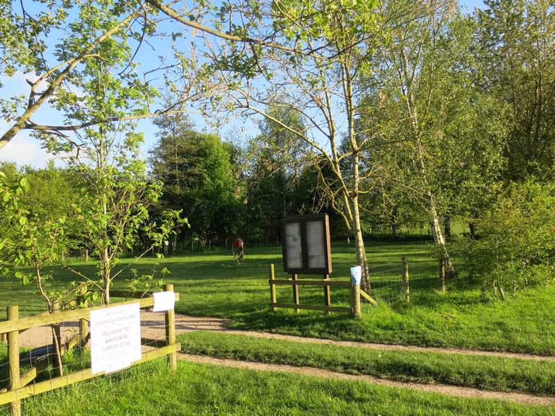Path past the information board