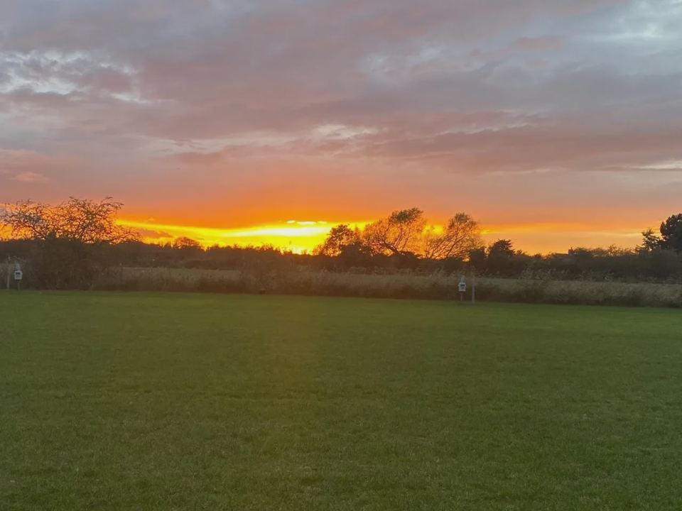 Sunset over the field