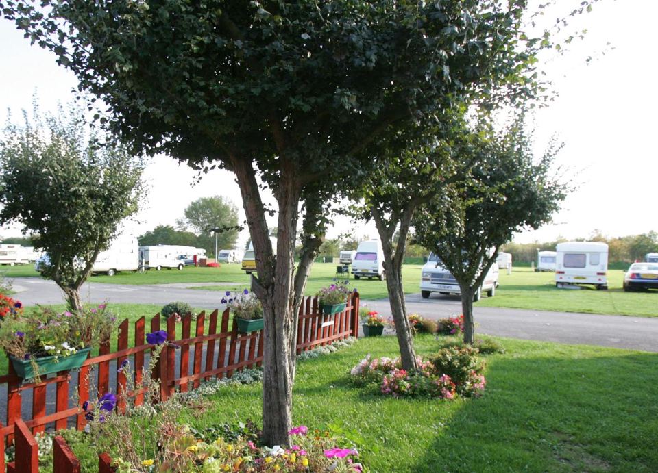 Touring field behind flower beds