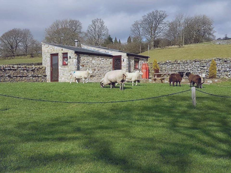 Shepherd's Cottage with sheep