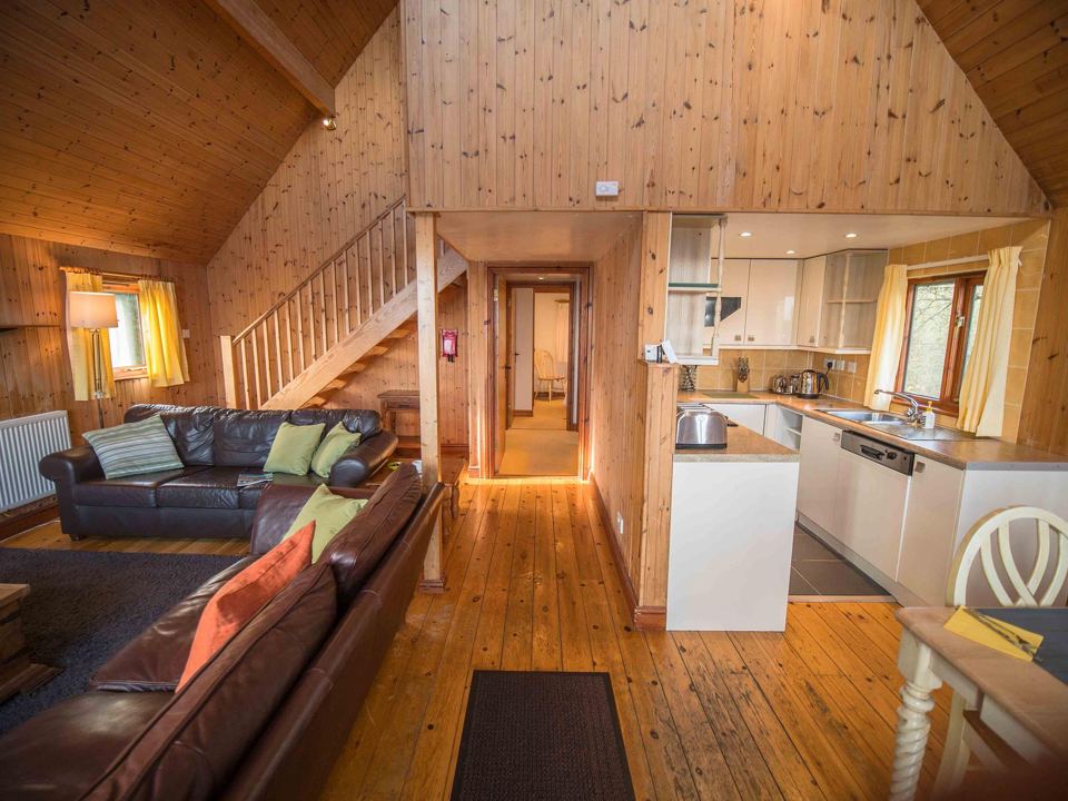 Open lounge and kitchen