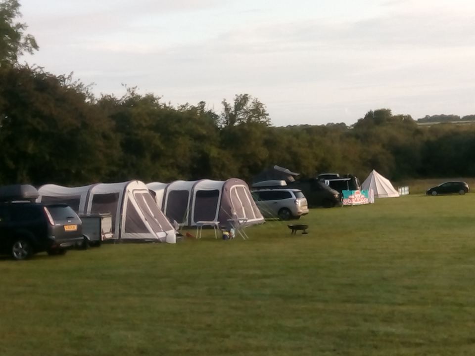 Tents pitched along the hedge