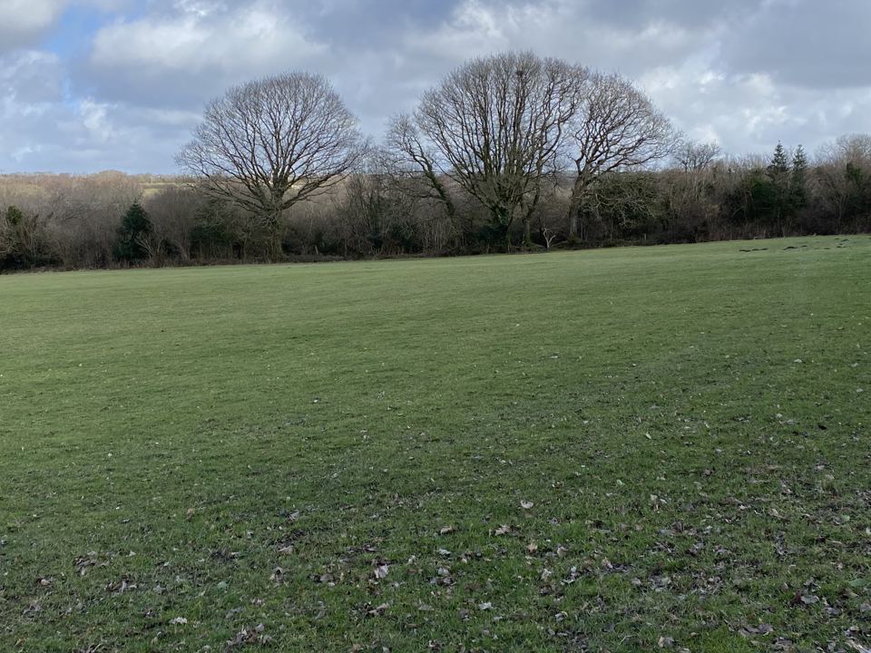 Open grass camping field
