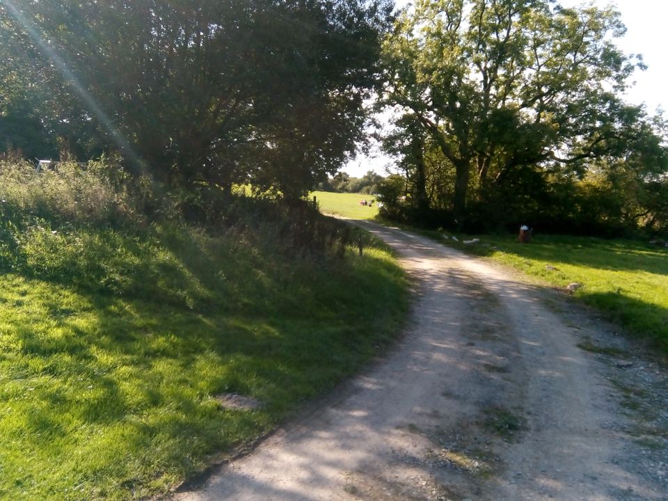 Track through the site