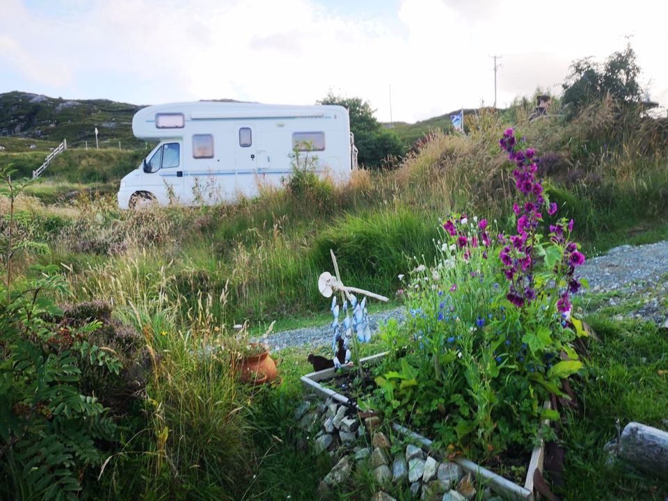 Motorhome pitch among wildflowers