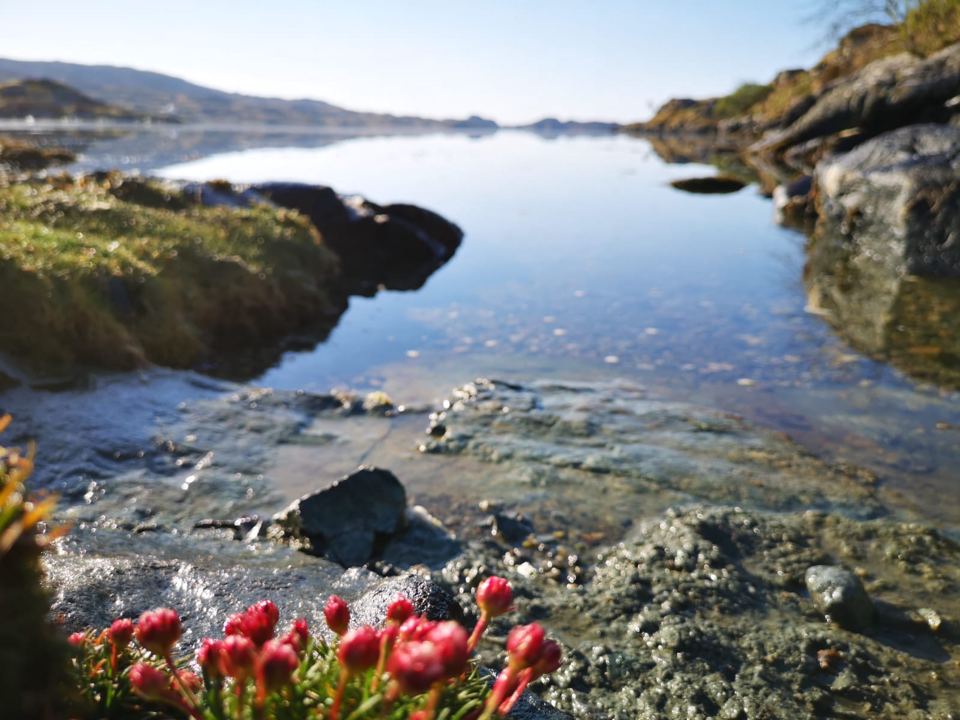 Rocky shoreline at the site
