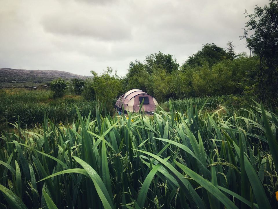 Tent pitch in the long grass