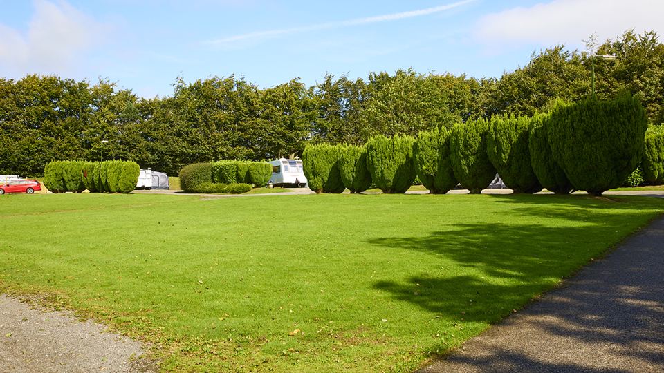 Grass beside the pitches