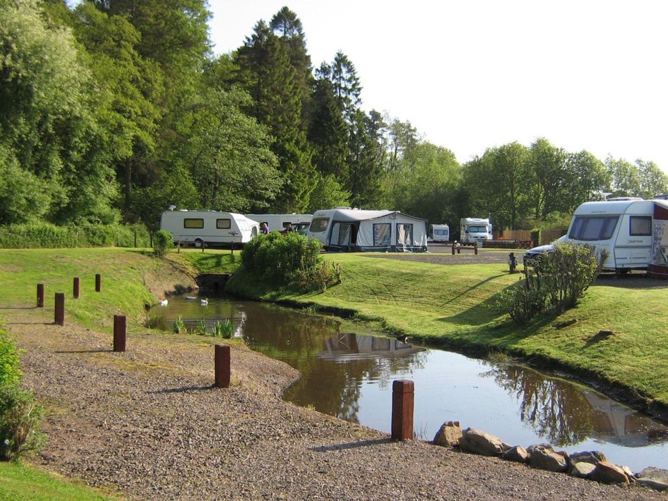 Pitches along the stream
