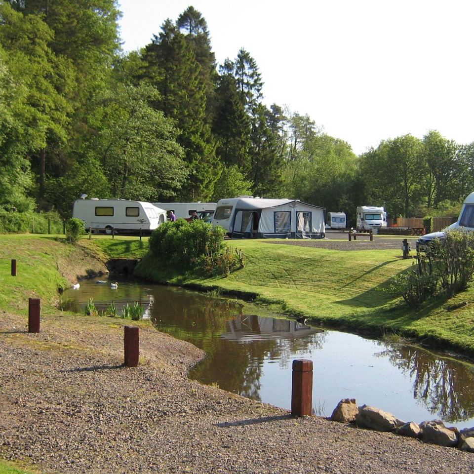 Pitches beside the pond